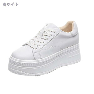 1000~OFFN[| Xj[J[ fB[X Xj[J[ 傫TCY C jOV[Y X|[c C JWAV[Y ^C g h gAbv ɂ oR 