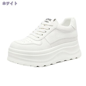 Xj[J[ fB[X X|[cV[Y C EH[LOV[Y ~ r r ₷ Ȃ ɂȂ Vv tbg w 傫TCY ʋ ʊw  N