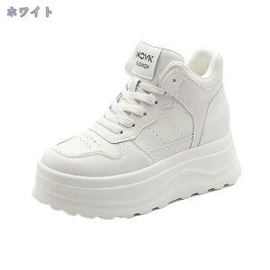 Xj[J[ fB[X H ~ hC N h ۉ g EH[LO jO Xm[V[Y y  gAbv r JWAV[Y 傫TCY ₷ 30 40