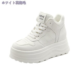 1000~OFFN[| Xj[J[ fB[X H ~ hC N h ۉ g EH[LO jO Xm[V[Y y  gAbv r JWAV[Y 傫TCY 