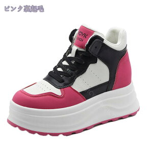 1000~OFFN[| Xj[J[ fB[X H ~ hC N h ۉ g EH[LO jO Xm[V[Y y  gAbv r JWAV[Y 傫TCY 