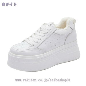 2000~OFFN[| Xm[u[c fB[X 傫TCY h h Xm[V[Y  Ȃ hC H~p AEghA  V ʋ ʊw C ₷ N 킢 o