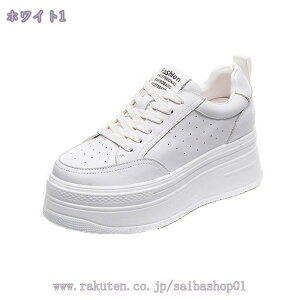 2000~OFFN[| Xm[u[c fB[X 傫TCY h h Xm[V[Y  Ȃ hC H~p AEghA  V ʋ ʊw C ₷ N 킢 o