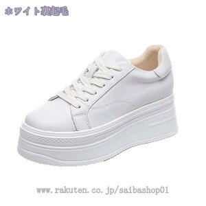 3500~OFFN[| Xm[u[c fB[X 傫TCY h h Xm[V[Y  Ȃ hC H~p AEghA  V ʋ ʊw C ₷ N 킢 o