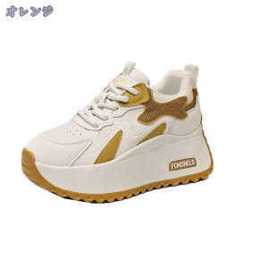 1000~OFFN[|  Xj[J[ fB[X 傫TCY C EH[LOV[Y ꂢ  ₷ y _bhXj[J[ אg JWAV[Y ۉ ʋ ʊw 풅 