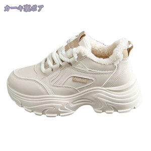 Xj[J[ fB[X ~p JWA [XAbv gbLO nCJbg AEghA EH[LOV[Y hC h ȌC N {A g hu[c  ̓ v[