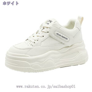 777~OFFN[| fB[X Xm[V[Y hC N H~ ItBX 傫TCY JWA ʋ ʊw ₷ ꂢ [Nu[c   Xj[J[ {A C Xm[u