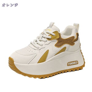 Xj[J[ fB[X X|[cV[Y C EH[LOV[Y ~ r r ₷ Ȃ ɂȂ Vv tbg w 傫TCY ʋ ʊw  N