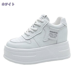 1000~OFFN[|  Xj[J[ fB[X 傫TCY C EH[LOV[Y ꂢ  ₷ y _bhXj[J[ אg JWAV[Y ۉ ʋ ʊw 풅 