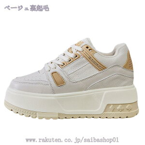 Xm[u[c fB[X 傫TCY h h Xm[V[Y  Ȃ hC H~p AEghA  V ʋ ʊw C ₷ N 킢 oR g ӂ