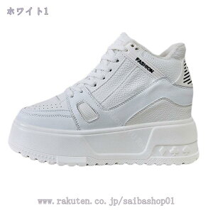 1000~OFFN[| Xj[J[ fB[X Xm[V[Y {A N g h ~p ~ ۉ ~C C AEghA hC EH[LO ^C JWA jO X|[c 