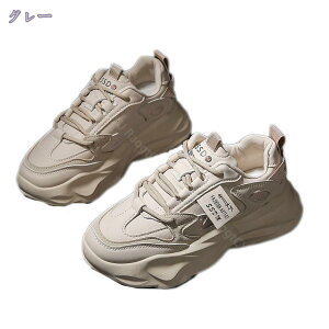  Xj[J[ fB[X {A hV[Y [XAbv nCJbg gUP ₷ RtH[gV[Y JWA ʋ ʊw  H~ EhgD jO h r 