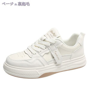  Xj[J[ fB[X {A hV[Y [XAbv nCJbg gUP ₷ RtH[gV[Y JWA ʋ ʊw  H~ EhgD jO h r 