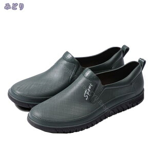 500~OFFN[| Cu[c Y Jp Cu[c V[g CV[Y h h V[gu[c JC  C V[Y  AEghA ʋ ~J΍ JW