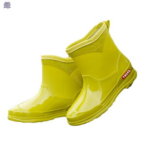 300~OFFN[| Cu[c fB[X CV[Y n y V[g Sh h _炩 ɂ ₷ ₷ ~J΍ Vv t J JC J悯 K[f