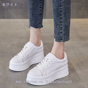 1000~OFFN[| Cq[Xj[J[ fB[X Xj[J[ JWAV[Y  r V[NbgV[Y V[Y [XAbv 7cm q[Abv y gAbv 