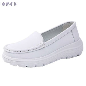 Xb| fB[X JV  tbgq[ EhgD TChSA Xj[J[ [Jbg O TCY NbV XbvI   [t@[ ₷ ₷