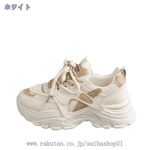 Xj[J[ fB[X  y jOV[Y EH[LOV[Y WMOV[Y X|[cV[Y ^C b bV NbV h ʋC ~ _bhXj[J