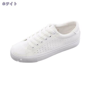 Xj[J[ fB[X JWAV[Y y ʋC EH[LOV[Y JWA [XAbv X|[c V[Y wlC tbgV[Y t@bV ʊw ʋ 풅p 