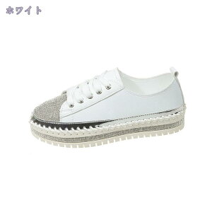 1000~OFFN[| tbgV[Y y^R  fB[X Xb| rW[ IV 킢 JWAV[Y n ₷ ̎q l C LL [Jbg [