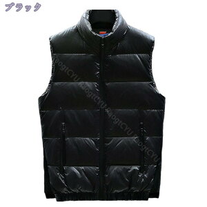 _ExXg Y y ȓ Ci[_E ~ ItBX  WPbg m[X[u  h H j ʊw ʋΒ oR StEFA JWA ۉ h΍ 