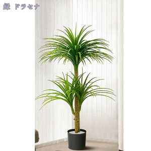 2000~OFFN[| tFCNO[ ^ lHϗtA ϗtA   ItBX CeA JX/JƏj ȒP sv Q̐SzȂ tFCNA ϗtA i`