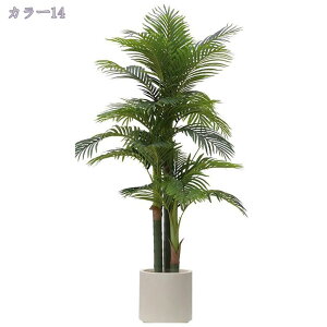 lHϗtA ^ 180CM CeA ډB tFCNO[ ϗtA ꎺ  rO ItBX  Vv q Q x_  ze sv ͂Ȃ ~͐A