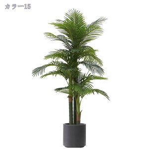 lHϗtA ^ 180CM CeA ډB tFCNO[ ϗtA ꎺ  rO ItBX  Vv q Q x_  ze sv ͂Ȃ ~͐A
