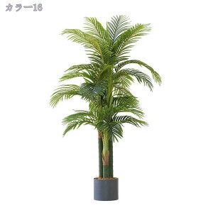 2000~OFFN[| tFCNO[ ^ 180CM i`ȕ͋C  Vv ډB  ϗA lHϗt rO ItBX   CeA Vz JX J j  