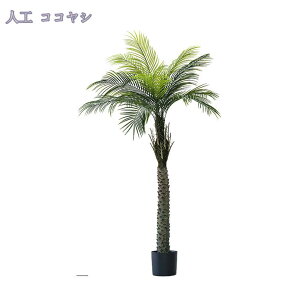 lHϗtA ^ 1.8M tFCNO[ CeA Ƃ̒ɒu lHϗtA  bȂ sv z[  Lb` ItBX tFCNO[  G鎞ɐ^