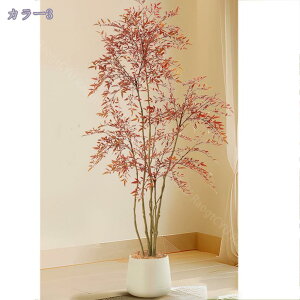 1000~OFFN[| tFCNO[ ^ { tFCNϗtA lHϗtA A ^ CeA V̖ JXj Vzj Vv ItBX     Mt