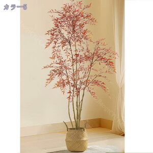 1000~OFFN[| tFCNO[ ^ { tFCNϗtA lHϗtA A ^ CeA V̖ JXj Vzj Vv ItBX     Mt