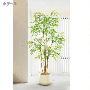 2000~OFFN[| tFCNO[ ^ { tFCNϗtA lHϗtA A ^ CeA V̖ JXj Vzj Vv ItBX     Mt