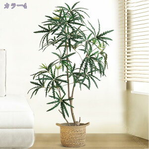 1000~OFFN[| ^ ϗtA tFCNO[ lHϗtA ItBX  CeA KW}  tFCNO[ CeA fBXvC  A j j JX 