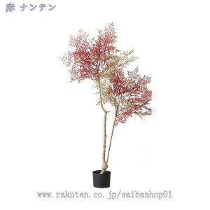 tFCNO[ ^  ϗtA tFCN A    i` j Vz JX J j a Cxg { K K {^jJ  rO  C