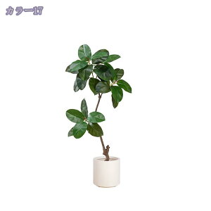 2000~OFFN[| lHϗtA ^ tFCNO[ RŃA   z[ x_  p ȒP sv Q̐SzȂ CeA Mtg v[g i`