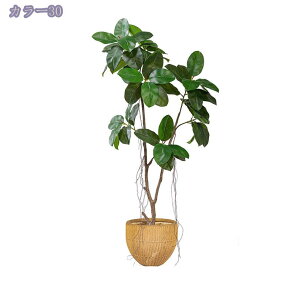 2000~OFFN[| lHϗtA ^ CeA ډB tFCNO[ ϗtA ꎺ  rO ItBX  Vv q Q x_  ze sv ͂