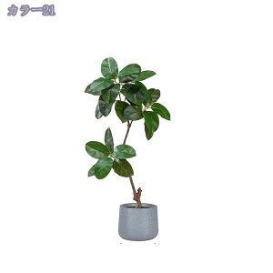 lHϗtA ^ CeA ډB tFCNO[ ϗtA ꎺ  rO ItBX  Vv q Q x_  ze sv ͂Ȃ ډB 