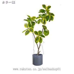 2000�~OFF�N�[�|�� �K�W���}���̖� �l�H�ϗt�A�� ��^ �t�F�C�N�O���[�� �l�H�ϗt�A�� ���| �l�H���� �t�F�C�N�O���[�� �ϗt�A�� ���t�� ��^�ϗt�� �t�F�C�N�ϗt�A�� �ȒP���b���炸 �����