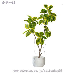 2000~OFFN[| KW} lHϗtA ^  tFCNO[ ϗt  rO CeA ډB p sv ͂Ȃ i` Iȑ gsJA tF