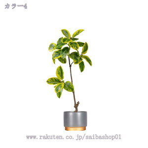 KW} lHϗtA ^  tFCNO[ ϗt  rO CeA ډB p sv ͂Ȃ i` Iȑ gsJA tFCNO[ l