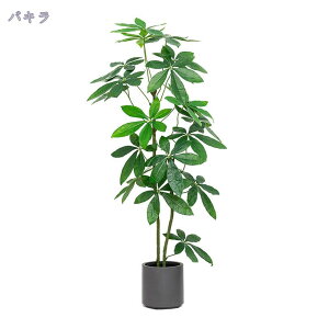 2000~OFFN[| oL lHϗtA ^  tFCNO[ ϗt  rO CeA ډB p sv ͂Ȃ i` Iȑ gsJA tFCN