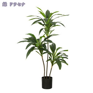 1000~OFFN[| tFCNO[ lHϗtA Km tFCNc[ lHϗtA ^  CeA A  ϗt Vv ItBX  X t ϗt rO