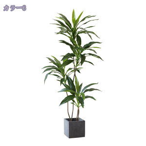 tFCNO[ 120/150/180CM lHϗtA ϗt  CeA ItBX rO[ z[ X Q _炩 [̗ N₩ ׍HJ  p[eB[ { 