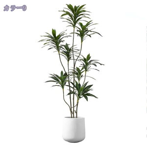 1000~OFFN[| tFCNO[ lHϗtA Km tFCNc[ lHϗtA ^  CeA A  ϗt Vv ItBX  X t ϗt rO