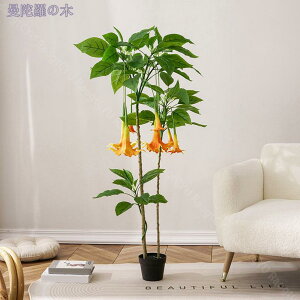 ^ tFCNO[ ϗtA  t tFCN lHϗtA  CeA A ϗt Vv ItBX  ϗt JtF BAR   rO Q tFCNO[