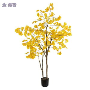 1000~OFFN[| ^ tFCNO[ lHϗtA CeA  rO ItBX  Q  lHϗtA ϗtA 킢  sv ȒPb炸 Mtg v