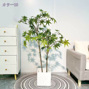 1000~OFFN[| tFCNO[ ^ lHϗtA ItBX  CeA  O ~͐A ϗtA lHϗtA i` lHϗtA RŃA  Ύ s