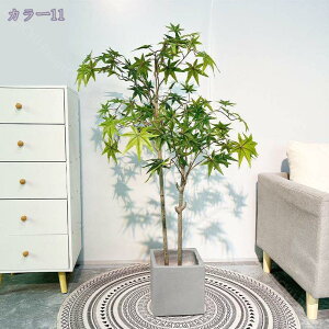 1000~OFFN[| tFCNO[ ^ lHϗtA ItBX  CeA  O ~͐A ϗtA lHϗtA i` lHϗtA RŃA  Ύ s