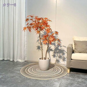 tFCNO[ ^ lHϗtA ItBX  CeA  O ~͐A ϗtA lHϗtA i` lHϗtA RŃA  Ύ sv ͂Ȃ 